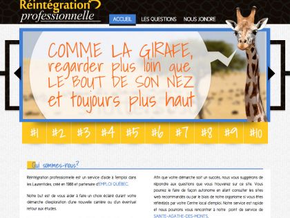 Conception site web à Sainte-Agathe pour Réintégration Professionnelle